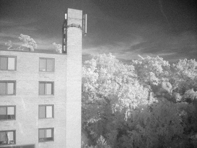 Desaturated infrared -- trees are dark green to human eye | Kodak M863