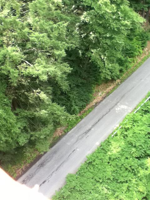 A cracked road running through a forest, shot from above on iPod Touch 4th Generation.