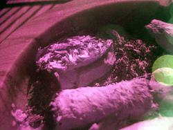 Ashtray. White balanced IR.