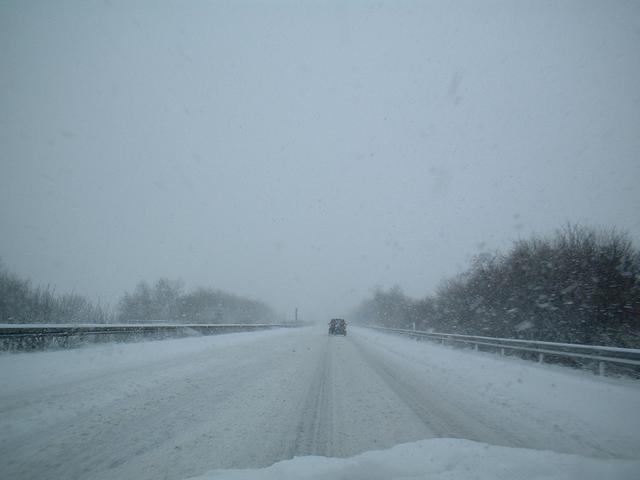 Last picture for today. Man, I miss having real snow. Can't stand hot weather...

Camera was a silver Fuji compact cam with very low resolution and a weird card format. MMC? 64MB?