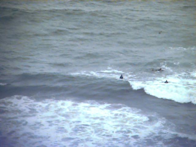 Surfers at Ocean Beach taken from Sutro Heights. Quicktake 150, modified with Nikon AF Nikkor 50mm 1:1.8D lens. I should have opened up the aperture a bit more for this one.