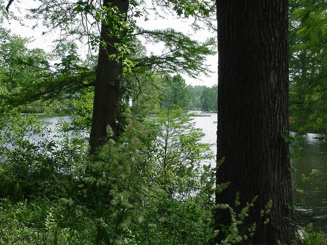 Campus Lake at Southern Illinois University Carbondale (4-27-26)