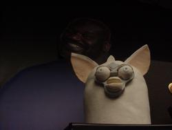 Inside Communications Building at Southern Illinois University Carbondale. Furby 'n' Shaq (4-25-26)