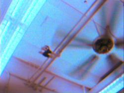 a ceiling fan, taken with an SGI Indycam. featuring lovely interlacing artifacts!