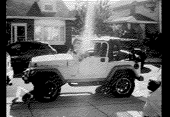 Summer Fun